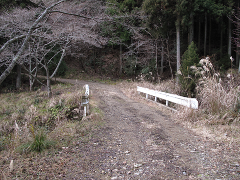 20140102hike (43)